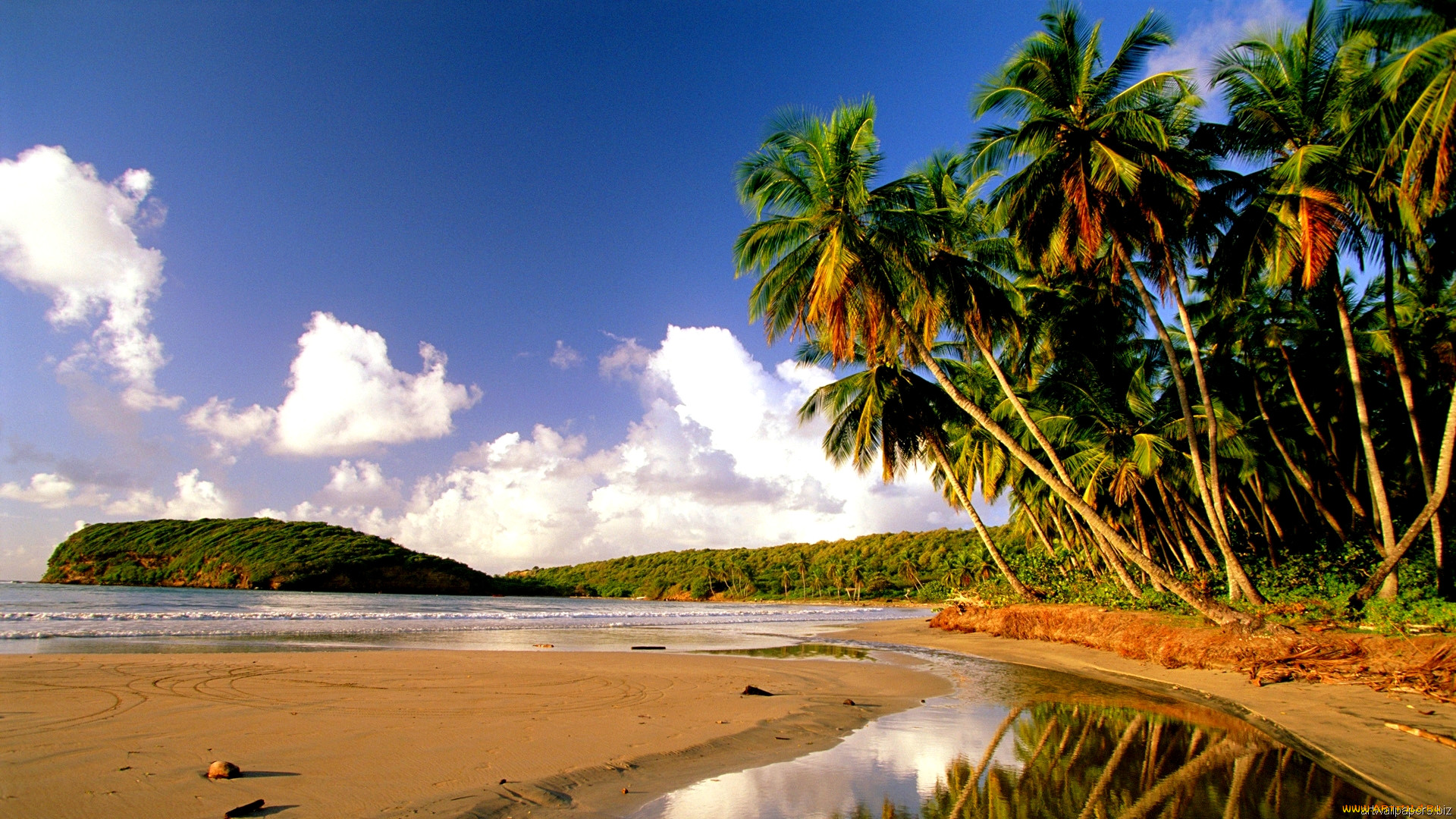 beach, , , , , , 